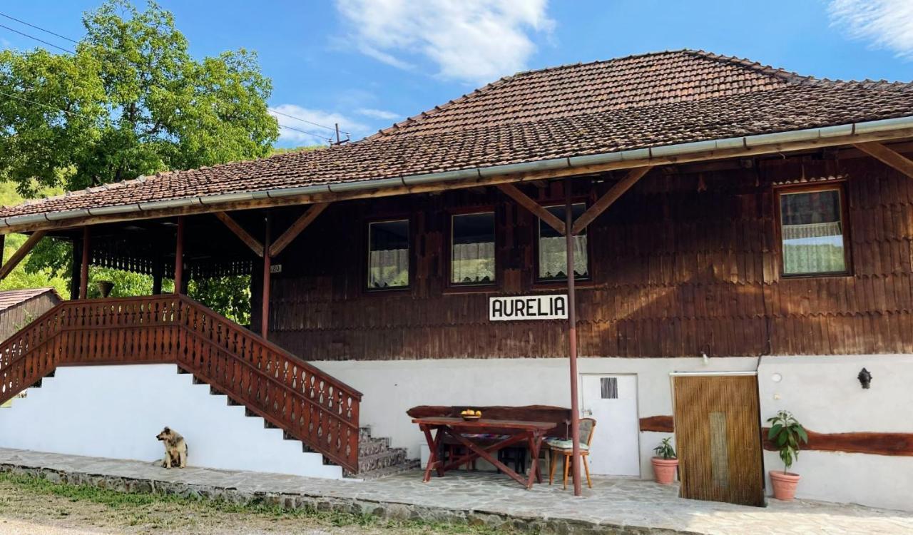 Casa Aurelia Hotel Chiscau Екстериор снимка