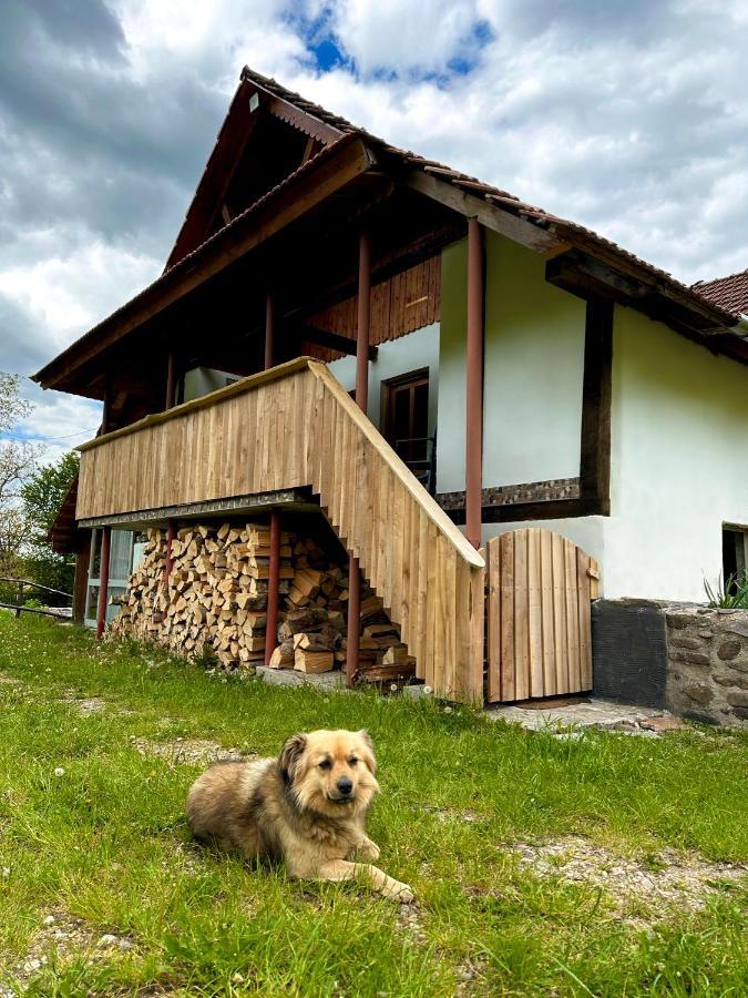 Casa Aurelia Hotel Chiscau Екстериор снимка